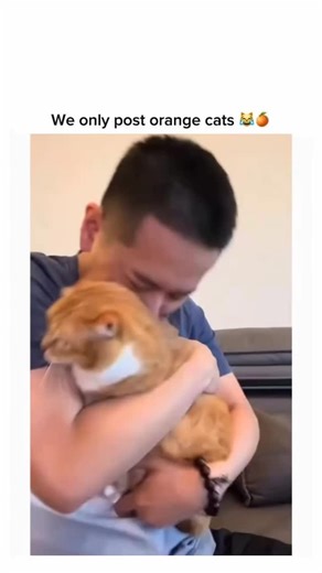 catsmeows on Instagram: "What made you like cats?🥹 - . . . #cats #catsareawesome #catstagram #kittycat #kittensofinstagram #kitten #straycat #catcore #catmemes"