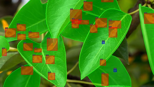 Image Processing Techniques:What Are Bounding Boxes?|Keymakr