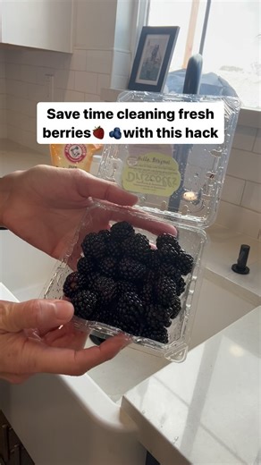 2K views · 4 comments | Want to keep your fresh berries longer? Don’t...