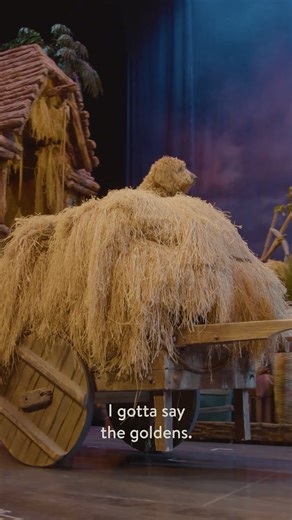 Meet each one of these four-legged superstars when you stream NOAH—Live! on Sight & Sound TV! | Sight & Sound Theatres