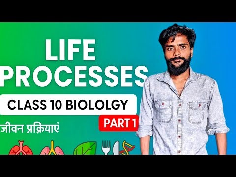 Life Processes Class 10 | Biology Chapter 6 Made Easy (Lec-1)