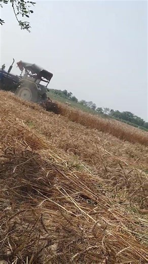 Khandan ka Amir Insan #automobile #mihindra #newmusic #bhojpuri #jatttyres