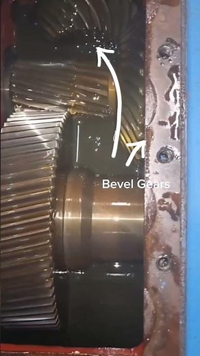 Helical Spur Gears and Bevel Gears in action during transmission in a gearbox.
