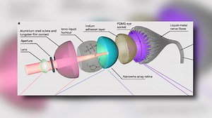 Bionic eye could offer perfect sight, night-vision within 5 years