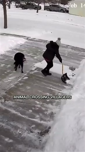 Decorating My Animal Crossing Island Challenges