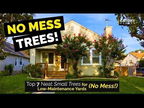 Top 7 Neat Small Trees for Low-Maintenance Yards (No Mess!) 🌸🌳🍁