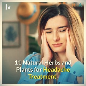 12K views · 357 reactions | 11 Natural Herbs and Plants for Headache Treatment | All about health and nutrition | Facebook