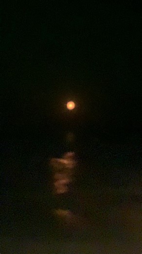 វីដេអូ​របស់ Samat Fishing (@samat.fishing) ជាមួយ original sound - Nine Soeunz - LENG PISEY