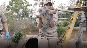 34K views · 1.3K reactions | Just makes you want to cuddle: This...