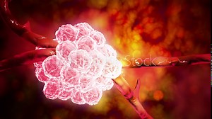 Microscopic visualization of Stachybotrys, a genus of mold.