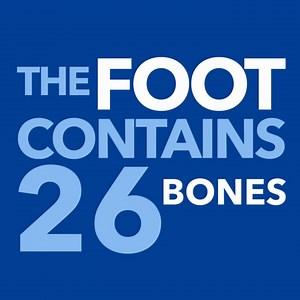 1.4K views | Did you know? Your feet are incredibly complex, with 26...