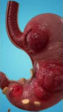 “What Happens When You Eat Bread? | Full Digestion Process in 3D | Nutrient Absorption Explained”