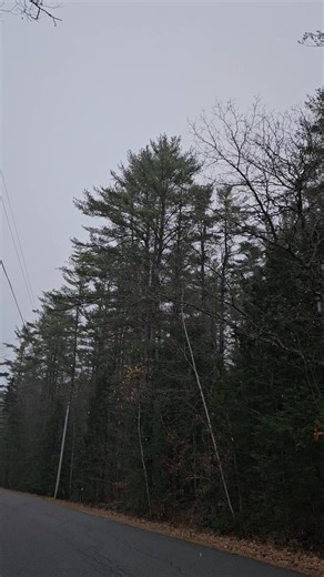 Keoka out for my 4 milah | Nick Archer | Facebook