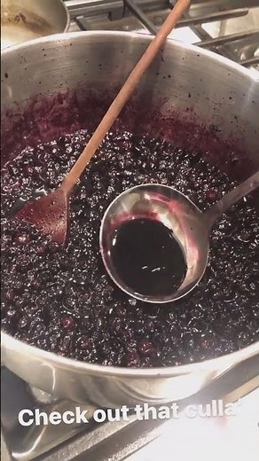 Aronia Berry (Chokeberry) Jam/Jelly/Marmelade - Delicious!