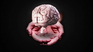 clip-9148985-digital-animation-hand-presenting-spinning-brain