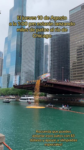 Chicago Ducky Derby Event in Chicago River 2024