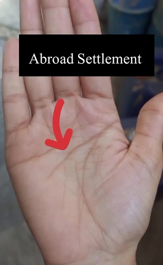 Palmistry Institute on TikTok