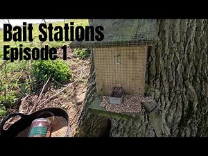 Squirrel Bait station | Part 1 - The Set up
