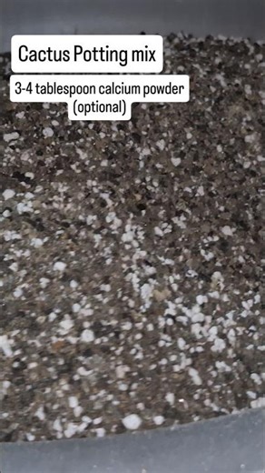 DIY Cactus Soil Mix | Fast-Draining Potting Mix Recipe #cactuscare #succulentsoil #shortvideo