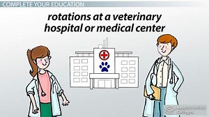 How to Become a Canine Nutritionist: Step-by-Step Career Guide