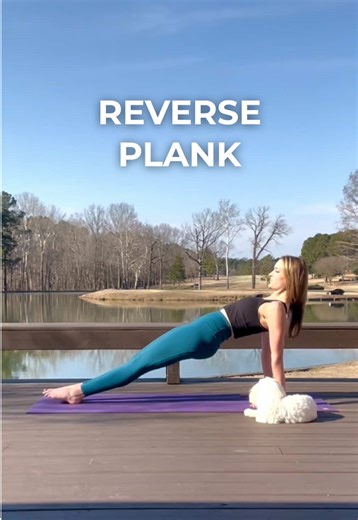 Tired of a regular plank? Flip it and reverse it! Reverse Planks help open the chest, strengthen the back side of the body, and stretch the shoulders. #yogapractice #reverseplank #corestrength #plank #outside