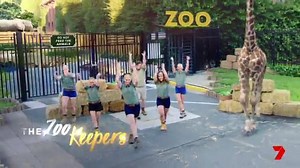 75K views · 760 reactions | Strap on your dance shoes, light up your disco ball and saddle up your giraffe (漣!?) Dance Boss is coming soon to Channel 7 and I can't wait until we sashay into your living rooms. | Dannii Minogue | Facebook