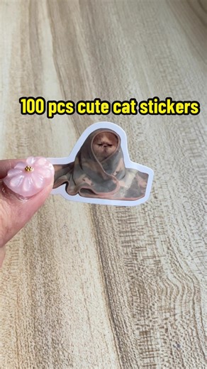 100 pcs cute funny cat stickers. ✨ #stickers #cutesticker