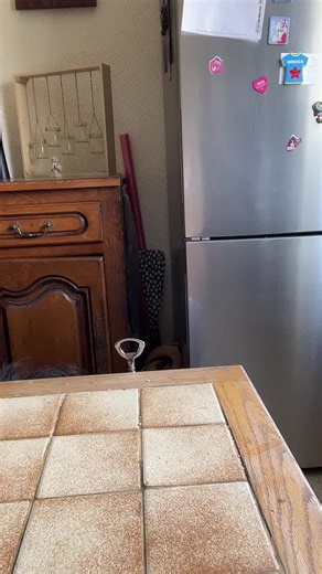 Modern Kitchen Refrigerator Decor Ideas