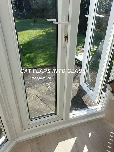 Cat flaps into glass