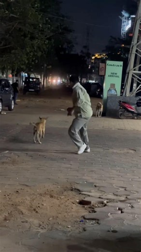 एक नंबर का फटू इंसान हैं ए #doglove #funny #comedy #viral #trending #sorts