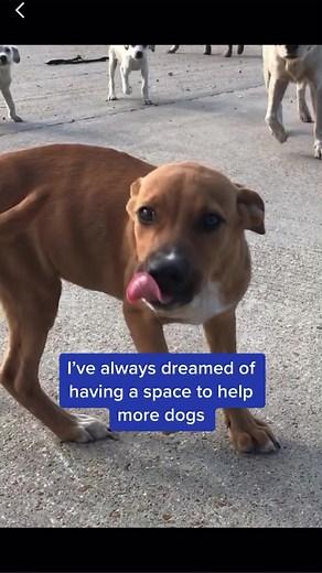 2.3M views · 200K reactions | I can’t believe we’re here....