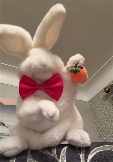 Funny Lip Sync with Dancing Rabbit Puppet