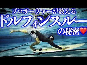 [Shocking! Dolphin-Through Lesson Secrets] This is what it's like!? Underwater video included