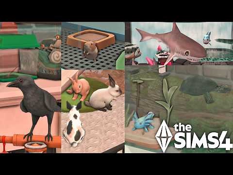 All Animals & Pets in The Sims 4 | No CC | The Sims 4