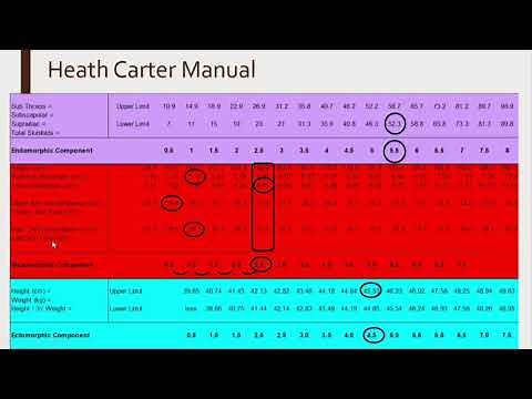 Perhitungan Somatotype
