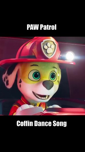 Hilarious PAW Patrol Memes You Can't Miss