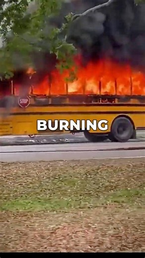 Parents don't know this about school bus safety #shorts