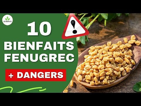 FENUGREC : SES DANGERS ET BIENFAITS POUR LA SANTE