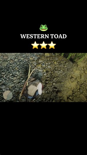 #reddeadredemption2 -WESTERN TOAD##reddeadredemption #fishing #gaming #rdr2 #shortvideo