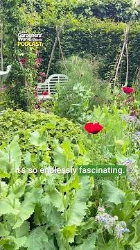 What does Monty Don look for in a garden?