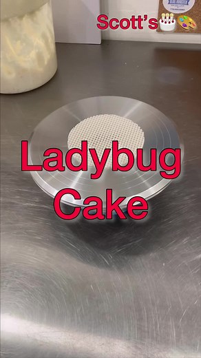 Ladybug Cake Tutorial - Scott's Cake Art