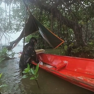63K views · 1.4K reactions | Camping in heavy rain and strong wind, struggle to set up my tarp the river because of high tide | Raelyn | Facebook