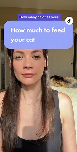 Cat Nutrition: Feeding Tips and Calorie Calculator