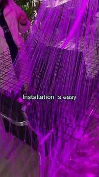 led fiber optic light