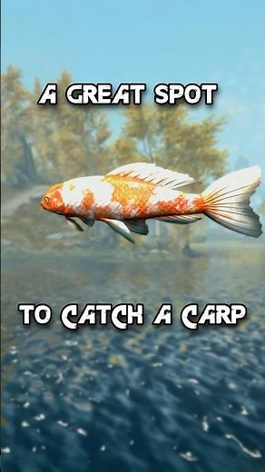 A Great Spot To Catch Carp In Skyrim #fishing #skyrim #skyrimanniversaryedition #shorts