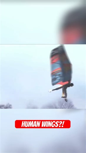 They Built HUMAN Bird Wings — And Actually Flew