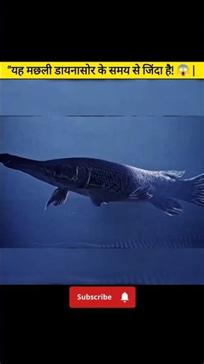 “यह मछली डायनासोर के समय से जिंदा है! 😱 | Alligator Gar Explained” | Hindi Facts |
