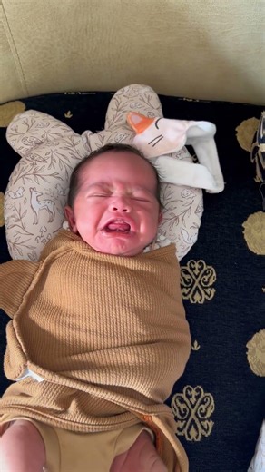 10 Hari, Full Video Tap Tautan Diatas.