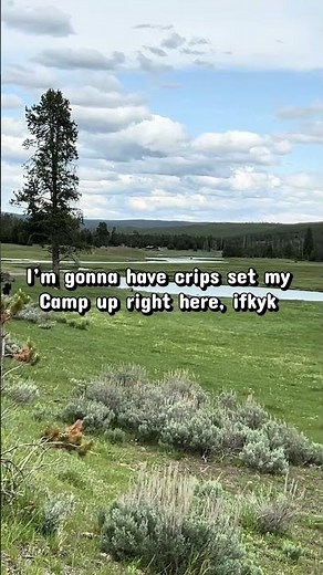 Set my camp up right here in red dead redemption two. #gaming #rdr2