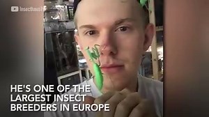 28K views · 100 reactions | This fish spa treatment is so popular abroad. But why is it banned in over 10 states?  | Add to Cart | Facebook